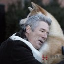 한가람동물의료센터 이미지