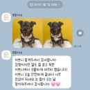 멍동이네 이미지
