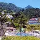 울릉도특산품직판장 이미지
