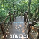 정광산 더팩트