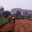 일산경찰서 이미지