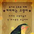 커피타는 고양이 이미지