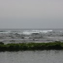 바닷가돌빌레 이미지