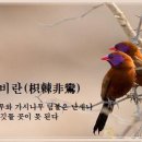 교훈글-기극비란(枳棘非鸞) 이미지