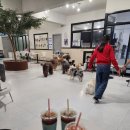 멍브로 | 아파트라 강아지는 못 키워요... 그래서 찾은 현실 대안 성남 애견까페 멍브로 찐후기!