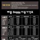 배불도기 네이버블로그