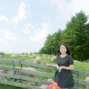 용사목장 이미지