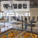 애니몰1 | 애니멀 클럽 수원 경기도 아이랑 가볼 만한 곳-수지점 추석 연휴 정상영업