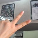 유명떡방앗간 이미지