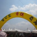 ㅡ 제 7 회 영산포 홍어 축제 ㅡ 이미지