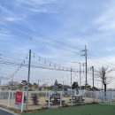 펫넘버원 이미지