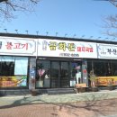 삼천포금화돈