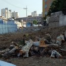 선화로 이미지