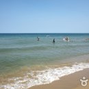 동호해변 이미지