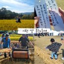 풍년잔치마당 | 이천 쌀문화축제 가족과 함께 즐기는 가을축제