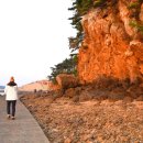 염성해수욕장 이미지