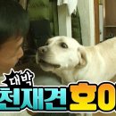 호야PC방 이미지