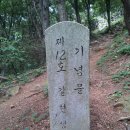 절고개 이미지