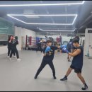 SY 주짓수&복싱 이미지