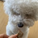 샵 세린파크 이미지