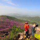 황매산 철쭉제 이미지