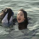 더피쉬