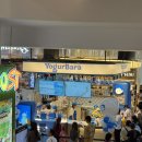 하이히얼 | 🇹🇭방콕 시암파라곤 푸드코트 / 히얼하이 갯가재, 팁싸마이 팟타이, 제당쏨땀 무삥, 차트라뮤