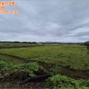 곡성-182 네이버블로그