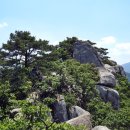 춘추원