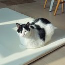 한솥도시락LCD8공구점 | 11월 마지막날, 12월 첫째주 : 병원, 젖병 세척, 수축, 폭설, 어머님