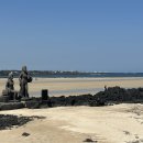 제주야 표선 이미지