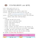 도안슈퍼볼 Daum카페