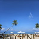 트윈꿀네일 | 신상 초호화 호텔 Regent Phu Quoc 리젠트 푸꾸옥 룸, 인피니티풀, 헬스장 후기, 1박에 80만원이라니...