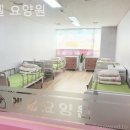 엔젤요양원