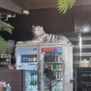 (주)호랑이가게 이미지