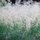 시아농장 이미지