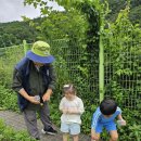 봉오초병설유치원 Daum카페