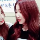 해피샐리