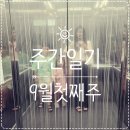 (주)잡다