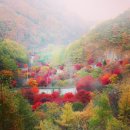 영월군청화장실 이미지