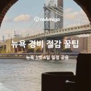 진이민박 | 뉴욕 여행 경비 절감 꿀팁 3박 4일 일정 추천