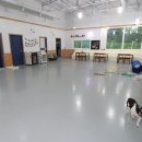 아이앤독 이미지