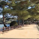 의림지-04 이미지