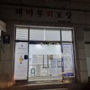 [공지] [속초] 중앙시장회포장 해마루회포장 당일예약 내돈내산 후기