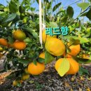 거성농장 이미지