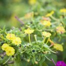 (주)좋은친구들 이미지