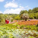 한라산을바라보는쉼터 이미지