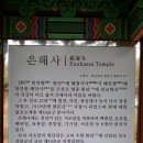 수림장 이미지