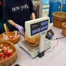 돌농장 | 경기도 화성 더나은딸기 딸기체험 8개월 돌전아기 체험비 없는 농장 방문 후기