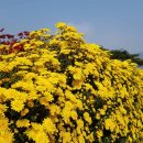 추모공원 야외 이미지